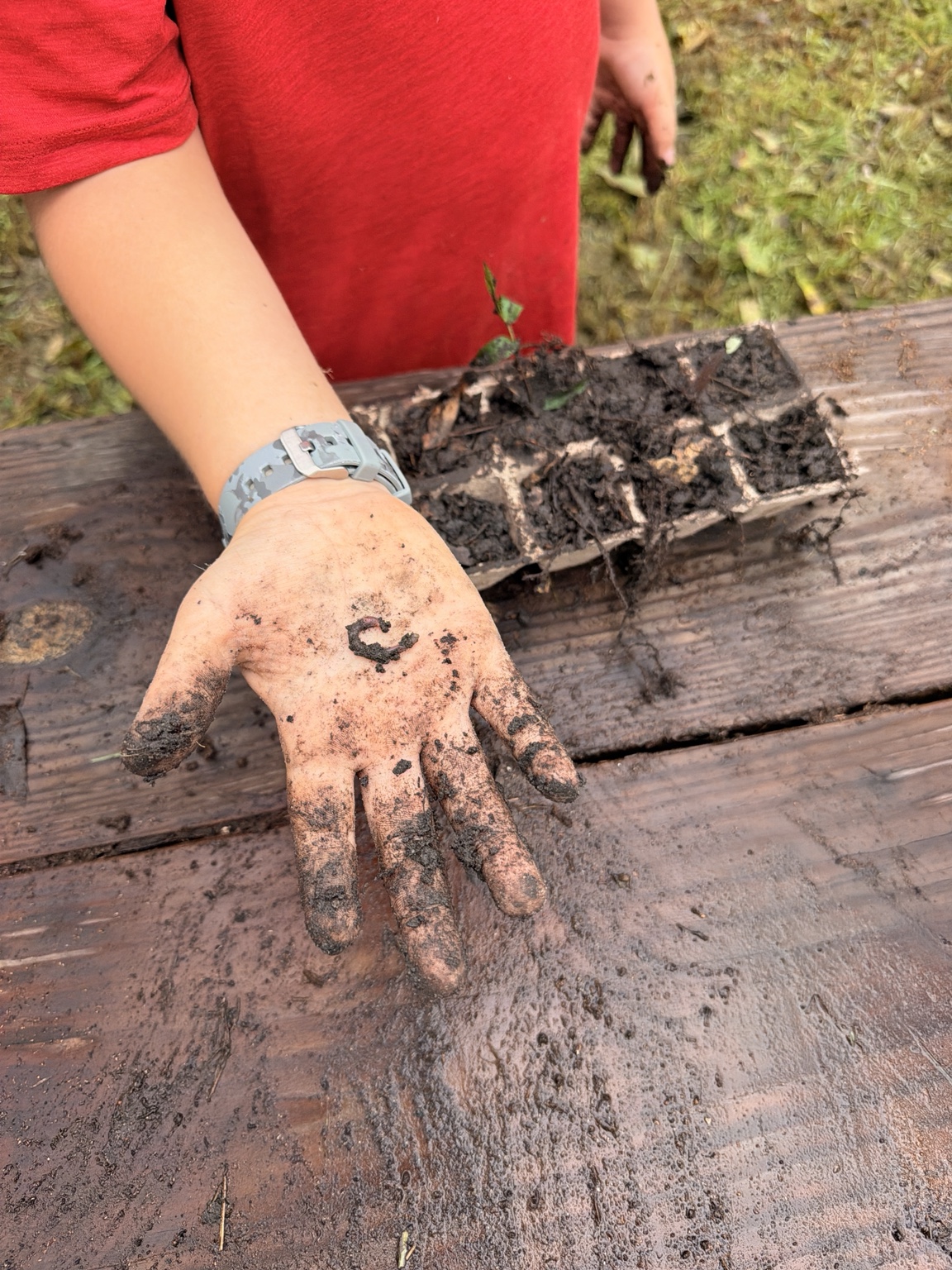 A child's muddy hand holding a small earthworm discovered while planting at ORVIT